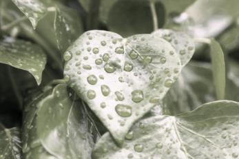 ellugarmasbonitodelmundo. 3