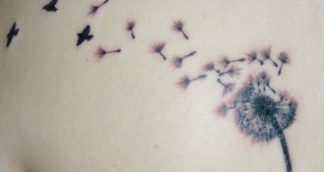 latalegadepan. desapego